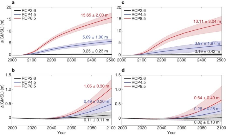 deconto nature17145-f5